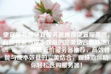 便宜服务器便宜服务器推荐便宜服务器，高效性能与成本效益的完美结合蜘蛛池TG：zzcseo，优质低价服务器推荐，高效性能与成本效益的完美结合，蜘蛛池TG助你轻松选购服务器！