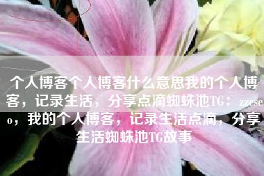 个人博客个人博客什么意思我的个人博客，记录生活，分享点滴蜘蛛池TG：zzcseo，我的个人博客，记录生活点滴，分享生活蜘蛛池TG故事