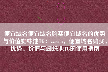 便宜域名便宜域名购买便宜域名的优势与价值蜘蛛池TG：zzcseo，便宜域名购买，优势、价值与蜘蛛池TG的使用指南