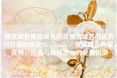 便宜域名便宜域名购买便宜域名的优势与价值蜘蛛池TG：zzcseo，便宜域名购买，优势、价值与蜘蛛池TG的使用指南