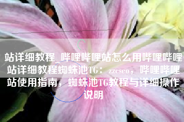 站详细教程_哔哩哔哩站怎么用哔哩哔哩站详细教程蜘蛛池TG：zzcseo，哔哩哔哩站使用指南，蜘蛛池TG教程与详细操作说明