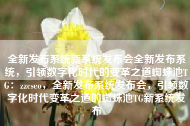 全新发布系统新系统发布会全新发布系统，引领数字化时代的变革之道蜘蛛池TG：zzcseo，全新发布系统发布会，引领数字化时代变革之道的蜘蛛池TG新系统发布