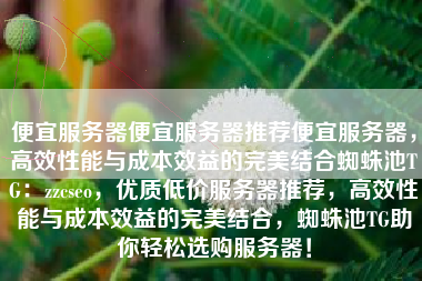 便宜服务器便宜服务器推荐便宜服务器，高效性能与成本效益的完美结合蜘蛛池TG：zzcseo，优质低价服务器推荐，高效性能与成本效益的完美结合，蜘蛛池TG助你轻松选购服务器！