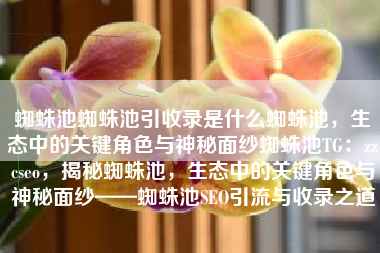 蜘蛛池蜘蛛池引收录是什么蜘蛛池，生态中的关键角色与神秘面纱蜘蛛池TG：zzcseo，揭秘蜘蛛池，生态中的关键角色与神秘面纱——蜘蛛池SEO引流与收录之道