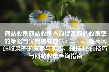 网站收录网站收录查询提高网站收录率的策略与实践蜘蛛池TG：zzcseo，提高网站收录率的策略与实践，蜘蛛池SEO技巧与网站收录查询指南