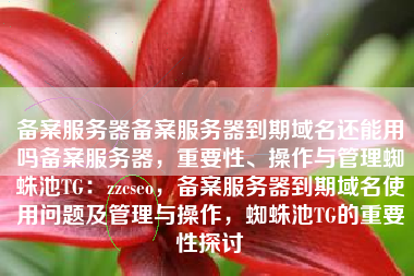 备案服务器备案服务器到期域名还能用吗备案服务器，重要性、操作与管理蜘蛛池TG：zzcseo，备案服务器到期域名使用问题及管理与操作，蜘蛛池TG的重要性探讨