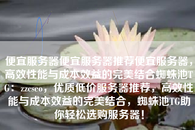 便宜服务器便宜服务器推荐便宜服务器，高效性能与成本效益的完美结合蜘蛛池TG：zzcseo，优质低价服务器推荐，高效性能与成本效益的完美结合，蜘蛛池TG助你轻松选购服务器！