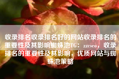 收录排名收录排名好的网站收录排名的重要性及其影响蜘蛛池TG：zzcseo，收录排名的重要性及其影响，优质网站与蜘蛛池策略