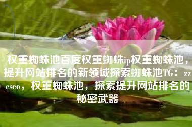权重蜘蛛池百度权重蜘蛛ip权重蜘蛛池，提升网站排名的新领域探索蜘蛛池TG：zzcseo，权重蜘蛛池，探索提升网站排名的秘密武器
