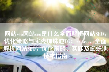 网站seo网站seo是什么全面解析网站SEO，优化策略与实践蜘蛛池TG：zzcseo，全面解析网站SEO，优化策略、实践及蜘蛛池技术指南