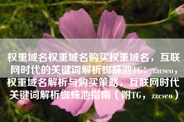 权重域名权重域名购买权重域名，互联网时代的关键词解析蜘蛛池TG：zzcseo，权重域名解析与购买策略，互联网时代关键词解析蜘蛛池指南（附TG，zzcseo）