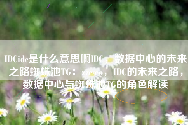 IDCidc是什么意思啊IDC，数据中心的未来之路蜘蛛池TG：zzcseo，IDC的未来之路，数据中心与蜘蛛池TG的角色解读