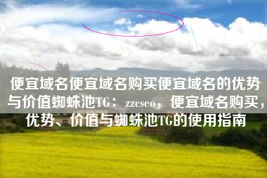 便宜域名便宜域名购买便宜域名的优势与价值蜘蛛池TG：zzcseo，便宜域名购买，优势、价值与蜘蛛池TG的使用指南