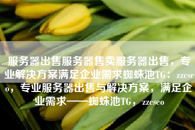 服务器出售服务器售卖服务器出售，专业解决方案满足企业需求蜘蛛池TG：zzcseo，专业服务器出售与解决方案，满足企业需求——蜘蛛池TG，zzcseo
