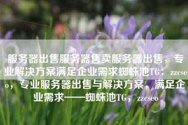 服务器出售服务器售卖服务器出售，专业解决方案满足企业需求蜘蛛池TG：zzcseo，专业服务器出售与解决方案，满足企业需求——蜘蛛池TG，zzcseo