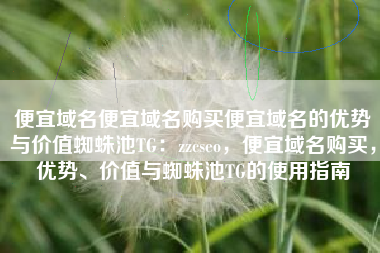 便宜域名便宜域名购买便宜域名的优势与价值蜘蛛池TG：zzcseo，便宜域名购买，优势、价值与蜘蛛池TG的使用指南