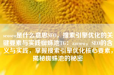 seoseo是什么意思SEO，搜索引擎优化的关键要素与实践蜘蛛池TG：zzcseo，SEO的含义与实践，掌握搜索引擎优化核心要素，揭秘蜘蛛池的秘密