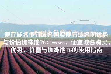 便宜域名便宜域名购买便宜域名的优势与价值蜘蛛池TG：zzcseo，便宜域名购买，优势、价值与蜘蛛池TG的使用指南