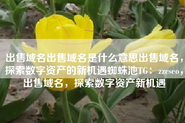 出售域名出售域名是什么意思出售域名，探索数字资产的新机遇蜘蛛池TG：zzcseo，出售域名，探索数字资产新机遇
