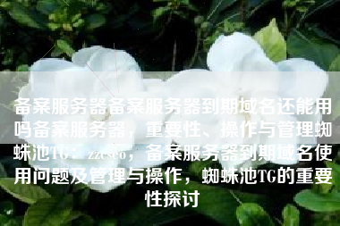 备案服务器备案服务器到期域名还能用吗备案服务器，重要性、操作与管理蜘蛛池TG：zzcseo，备案服务器到期域名使用问题及管理与操作，蜘蛛池TG的重要性探讨