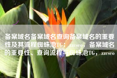 备案域名备案域名查询备案域名的重要性及其流程蜘蛛池TG：zzcseo，备案域名的重要性、查询流程与蜘蛛池TG，zzcseo