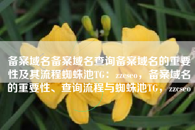 备案域名备案域名查询备案域名的重要性及其流程蜘蛛池TG：zzcseo，备案域名的重要性、查询流程与蜘蛛池TG，zzcseo