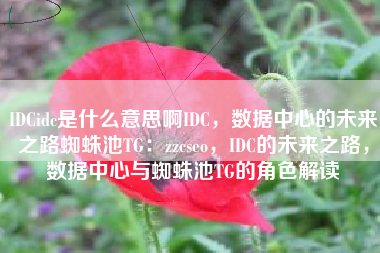 IDCidc是什么意思啊IDC，数据中心的未来之路蜘蛛池TG：zzcseo，IDC的未来之路，数据中心与蜘蛛池TG的角色解读