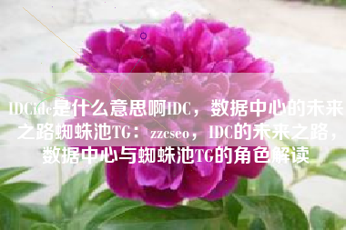 IDCidc是什么意思啊IDC，数据中心的未来之路蜘蛛池TG：zzcseo，IDC的未来之路，数据中心与蜘蛛池TG的角色解读