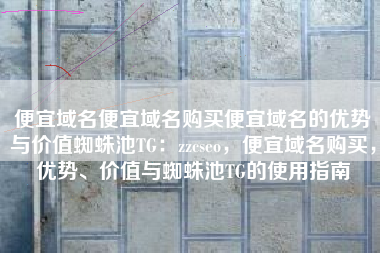 便宜域名便宜域名购买便宜域名的优势与价值蜘蛛池TG：zzcseo，便宜域名购买，优势、价值与蜘蛛池TG的使用指南