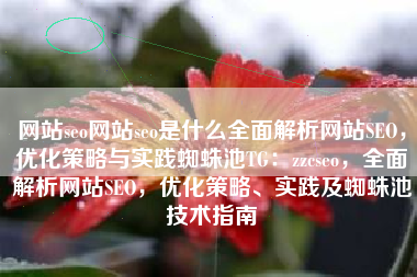 网站seo网站seo是什么全面解析网站SEO，优化策略与实践蜘蛛池TG：zzcseo，全面解析网站SEO，优化策略、实践及蜘蛛池技术指南