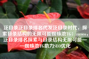 泛目录泛目录排名代发泛目录时代，探索目录结构的无限可能蜘蛛池TG：zzcseo，泛目录排名探索与目录结构无限可能——蜘蛛池TG助力SEO优化
