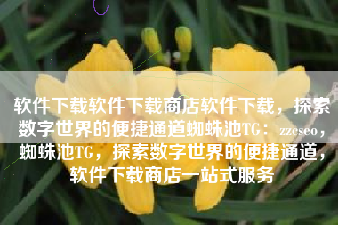 软件下载软件下载商店软件下载，探索数字世界的便捷通道蜘蛛池TG：zzcseo，蜘蛛池TG，探索数字世界的便捷通道，软件下载商店一站式服务