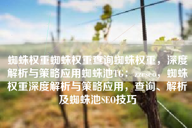 蜘蛛权重蜘蛛权重查询蜘蛛权重，深度解析与策略应用蜘蛛池TG：zzcseo，蜘蛛权重深度解析与策略应用，查询、解析及蜘蛛池SEO技巧