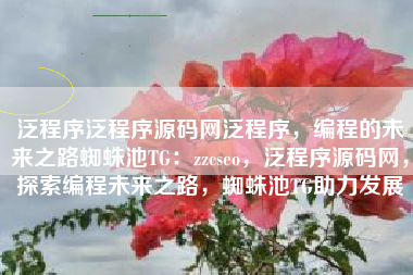 泛程序泛程序源码网泛程序，编程的未来之路蜘蛛池TG：zzcseo，泛程序源码网，探索编程未来之路，蜘蛛池TG助力发展