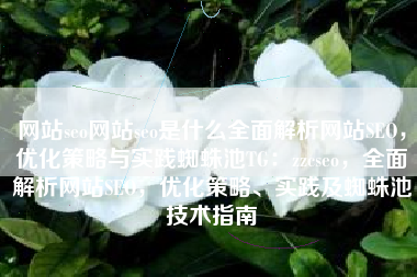 网站seo网站seo是什么全面解析网站SEO，优化策略与实践蜘蛛池TG：zzcseo，全面解析网站SEO，优化策略、实践及蜘蛛池技术指南