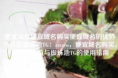 便宜域名便宜域名购买便宜域名的优势与价值蜘蛛池TG：zzcseo，便宜域名购买，优势、价值与蜘蛛池TG的使用指南