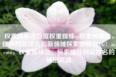 权重蜘蛛池百度权重蜘蛛ip权重蜘蛛池，提升网站排名的新领域探索蜘蛛池TG：zzcseo，权重蜘蛛池，探索提升网站排名的秘密武器