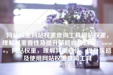 网站权重网站权重查询工具网站权重，理解其重要性及提升策略蜘蛛池TG：zzcseo，网站权重，理解其重要性、提升策略及使用网站权重查询工具