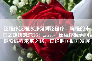 泛程序泛程序源码网泛程序，编程的未来之路蜘蛛池TG：zzcseo，泛程序源码网，探索编程未来之路，蜘蛛池TG助力发展