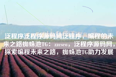 泛程序泛程序源码网泛程序，编程的未来之路蜘蛛池TG：zzcseo，泛程序源码网，探索编程未来之路，蜘蛛池TG助力发展