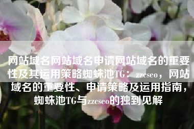 网站域名网站域名申请网站域名的重要性及其运用策略蜘蛛池TG：zzcseo，网站域名的重要性、申请策略及运用指南，蜘蛛池TG与zzcseo的独到见解