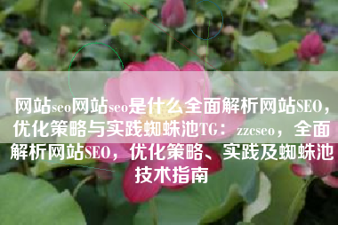 网站seo网站seo是什么全面解析网站SEO，优化策略与实践蜘蛛池TG：zzcseo，全面解析网站SEO，优化策略、实践及蜘蛛池技术指南