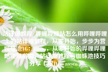 站详细教程_哔哩哔哩站怎么用哔哩哔哩上的站详细教程，从零开始，步步为营蜘蛛池TG：zzcseo，从零开始的哔哩哔哩站使用指南，站详细教程与蜘蛛池技巧分享（附TG，zzcseo）