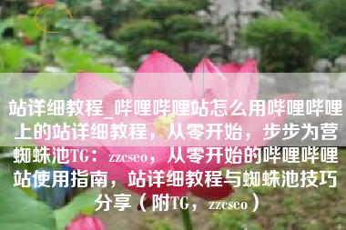 站详细教程_哔哩哔哩站怎么用哔哩哔哩上的站详细教程，从零开始，步步为营蜘蛛池TG：zzcseo，从零开始的哔哩哔哩站使用指南，站详细教程与蜘蛛池技巧分享（附TG，zzcseo）