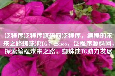 泛程序泛程序源码网泛程序，编程的未来之路蜘蛛池TG：zzcseo，泛程序源码网，探索编程未来之路，蜘蛛池TG助力发展