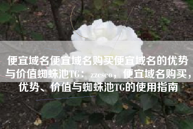 便宜域名便宜域名购买便宜域名的优势与价值蜘蛛池TG：zzcseo，便宜域名购买，优势、价值与蜘蛛池TG的使用指南
