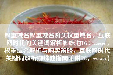 权重域名权重域名购买权重域名，互联网时代的关键词解析蜘蛛池TG：zzcseo，权重域名解析与购买策略，互联网时代关键词解析蜘蛛池指南（附TG，zzcseo）