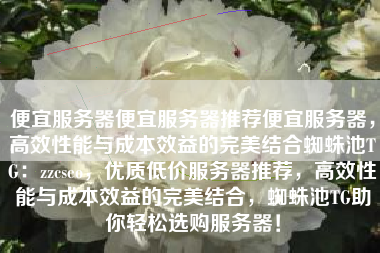 便宜服务器便宜服务器推荐便宜服务器，高效性能与成本效益的完美结合蜘蛛池TG：zzcseo，优质低价服务器推荐，高效性能与成本效益的完美结合，蜘蛛池TG助你轻松选购服务器！