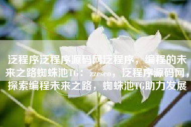 泛程序泛程序源码网泛程序，编程的未来之路蜘蛛池TG：zzcseo，泛程序源码网，探索编程未来之路，蜘蛛池TG助力发展