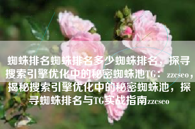 蜘蛛排名蜘蛛排名多少蜘蛛排名，探寻搜索引擎优化中的秘密蜘蛛池TG：zzcseo，揭秘搜索引擎优化中的秘密蜘蛛池，探寻蜘蛛排名与TG实战指南zzcseo